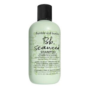 BUMBLE AND BUMBLE - Seaweed Shampoo - Šampon na vlasy